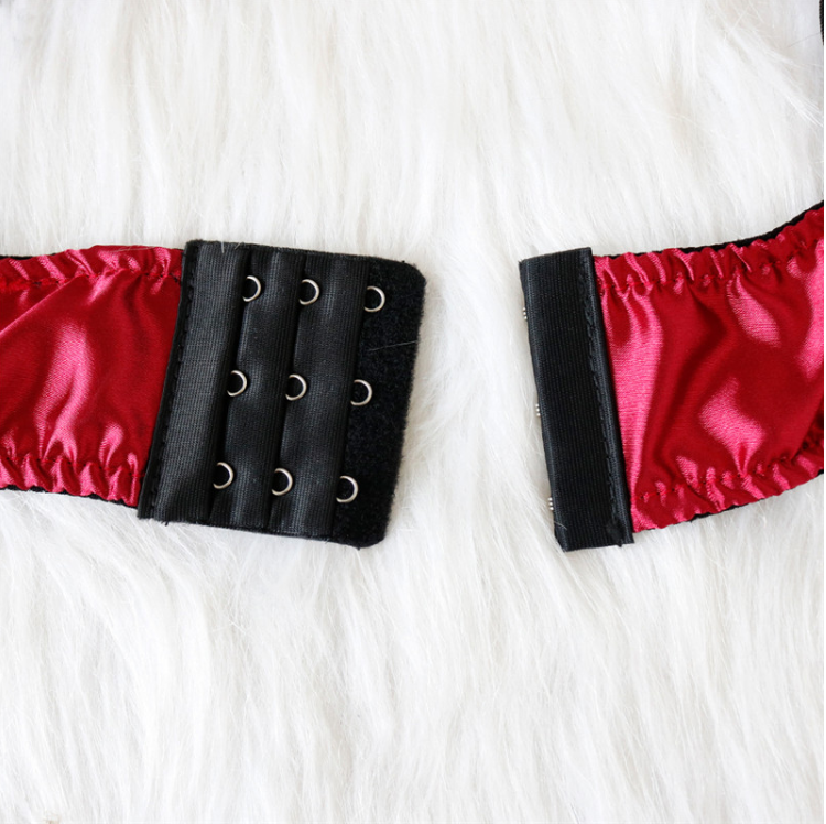 Lustful Desire Dessous-Set